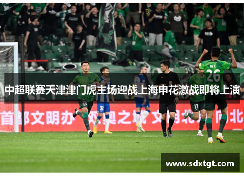 中超联赛天津津门虎主场迎战上海申花激战即将上演