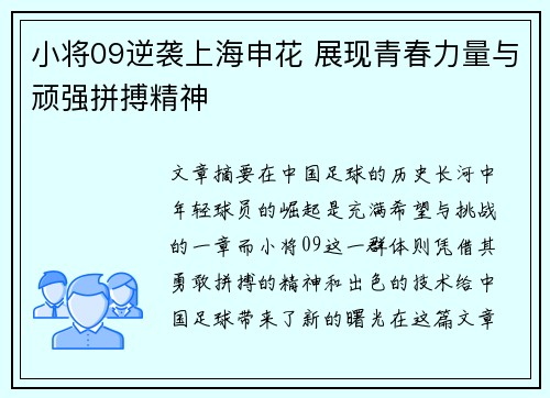小将09逆袭上海申花 展现青春力量与顽强拼搏精神
