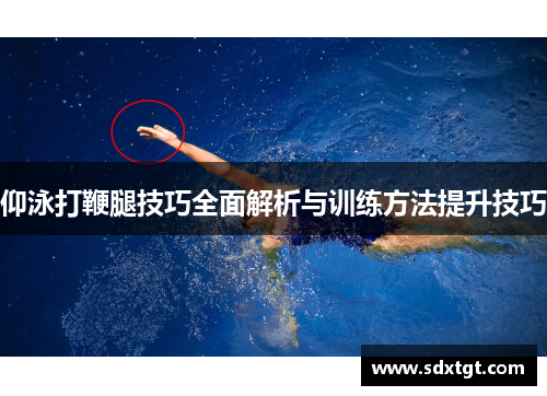 仰泳打鞭腿技巧全面解析与训练方法提升技巧