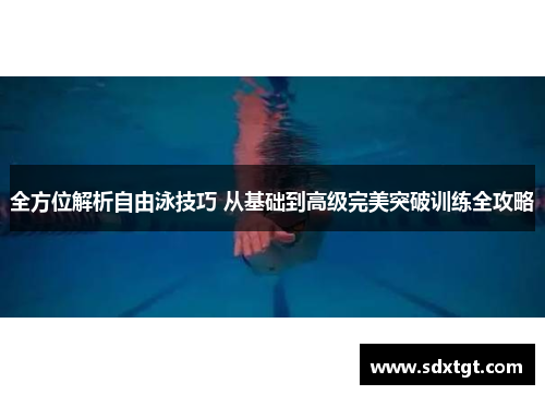 全方位解析自由泳技巧 从基础到高级完美突破训练全攻略