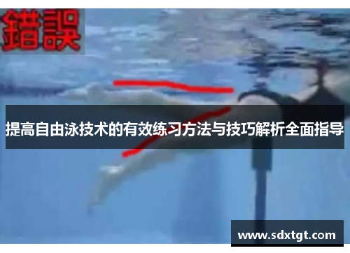 提高自由泳技术的有效练习方法与技巧解析全面指导